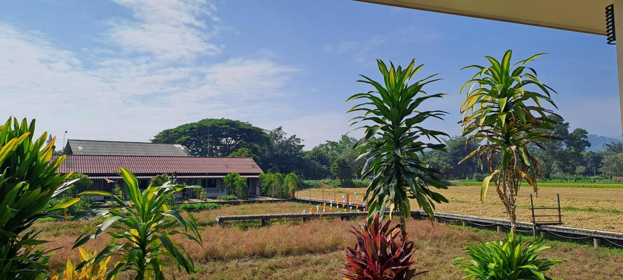 Ban Lom Jen Homestay Chiang Rai Extérieur photo
