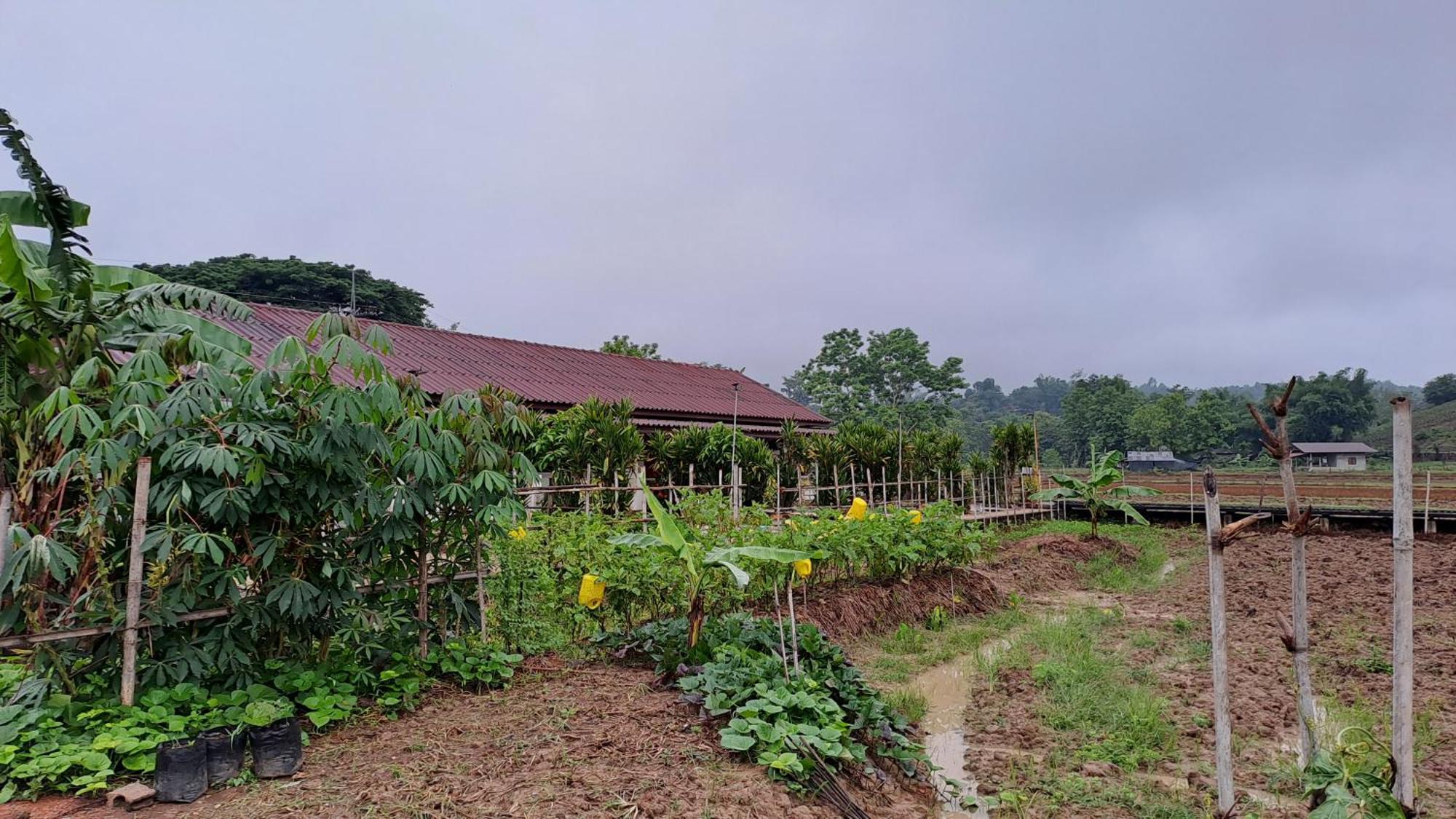 Ban Lom Jen Homestay Chiang Rai Extérieur photo