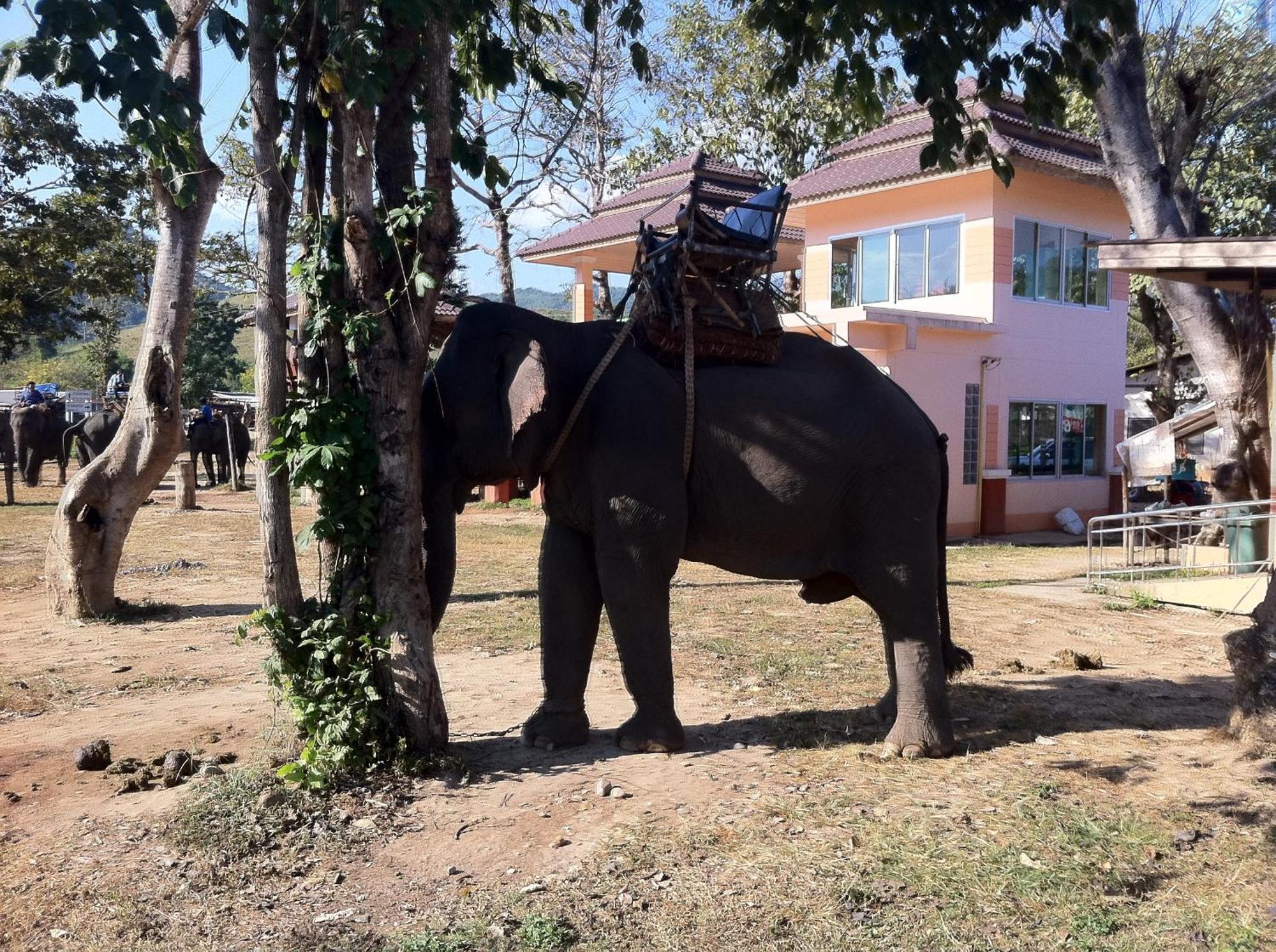 Ban Lom Jen Homestay Chiang Rai Extérieur photo