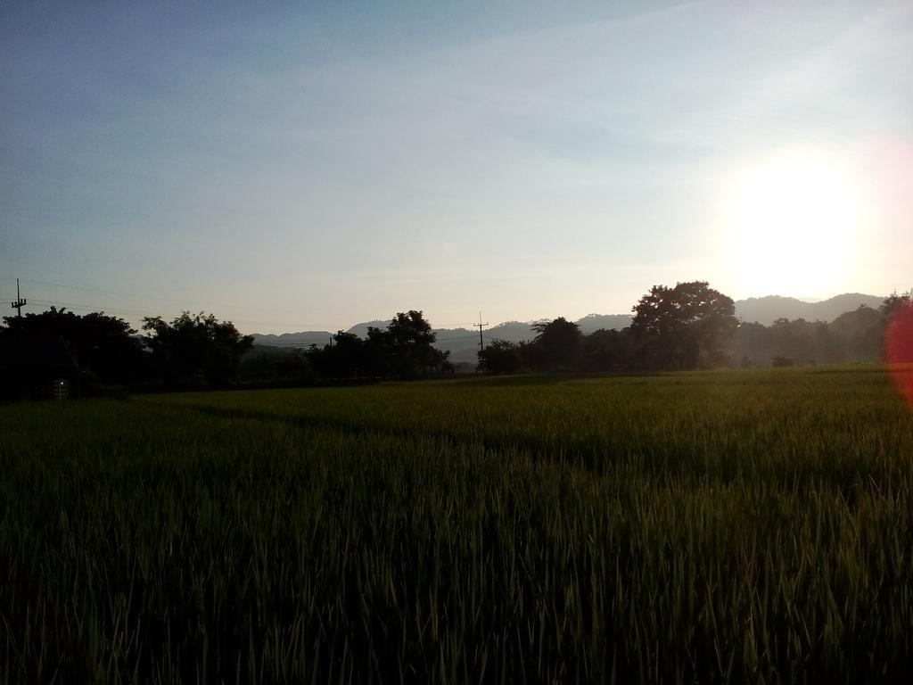 Ban Lom Jen Homestay Chiang Rai Extérieur photo