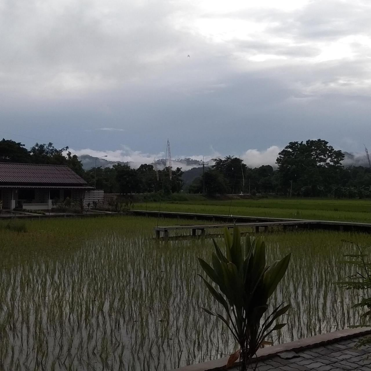 Ban Lom Jen Homestay Chiang Rai Extérieur photo